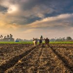 Farming in India