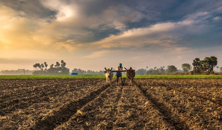 Top 5 Richest Farmers in India.