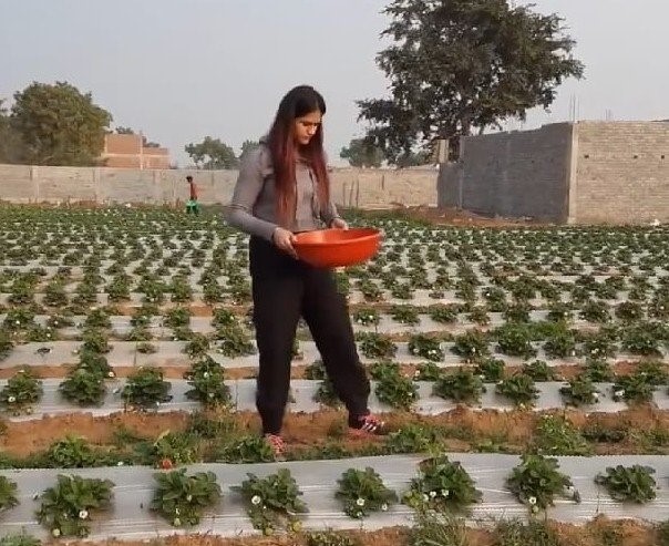 Gurleen Chawla,, the 'Strawberry Girl'.